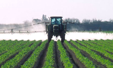 pesticide regulations