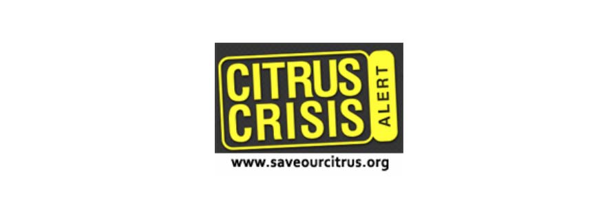 Save Our Citrus from Citrus Greening