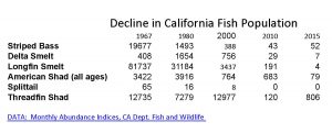 CA Fish Decline