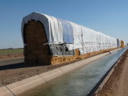 Alfalfa Imperial County