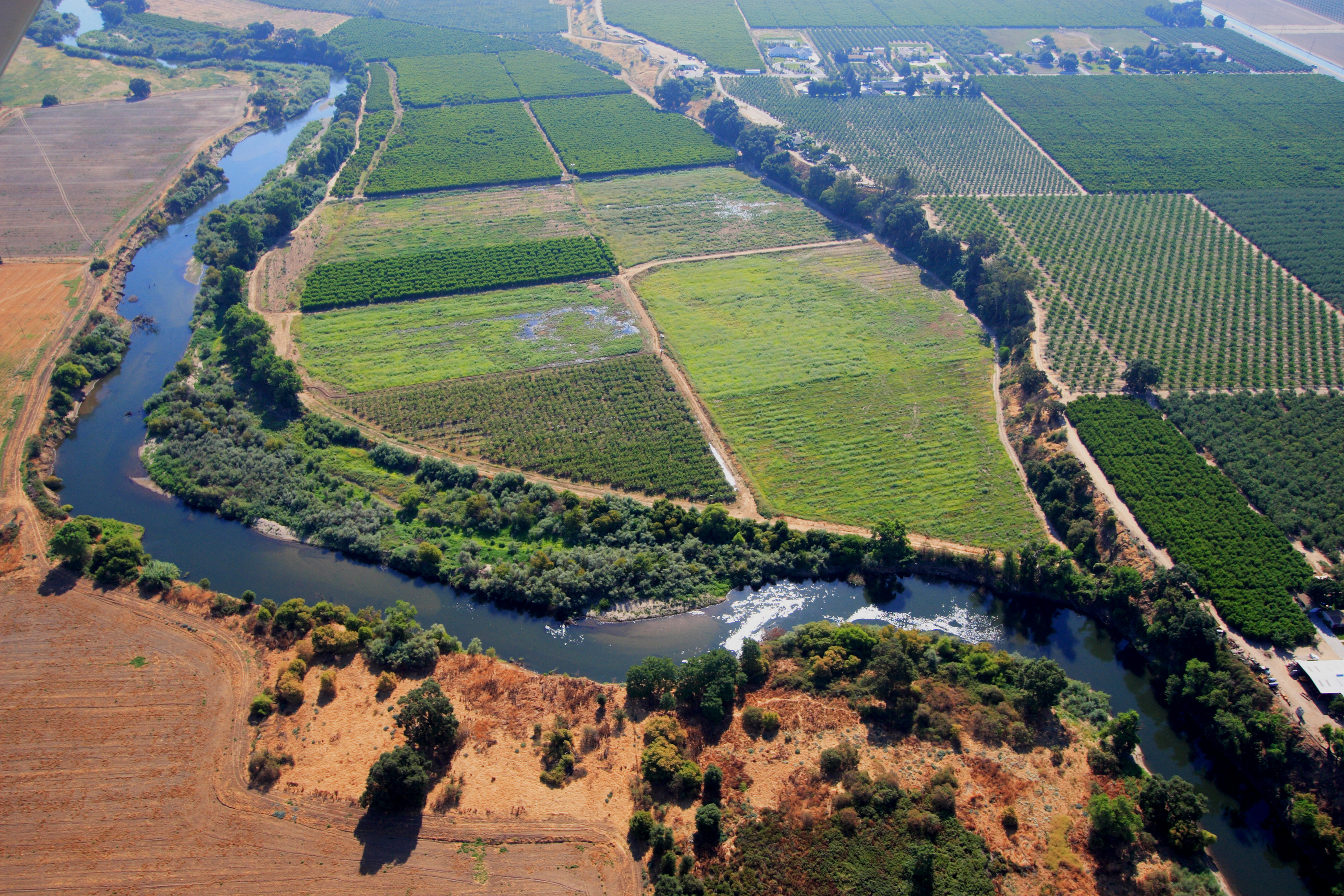 Tuolumne River-Modesto Irrigation District