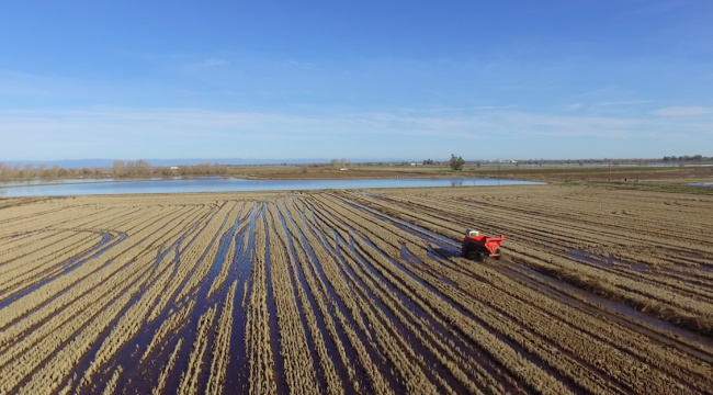 California Rice Growers are Model of Environmental Stewardship ...