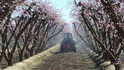 Spray Rig in Orchard FieldIn Technology