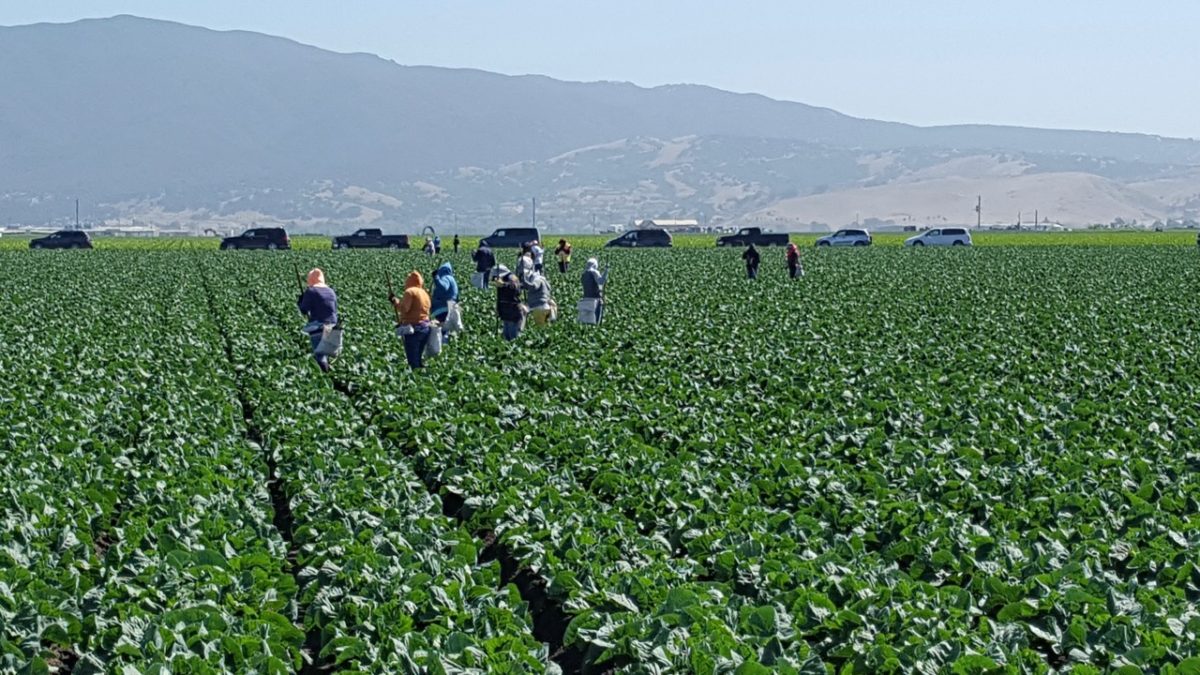 Amendments Needed on the Farm Workforce Modernization Act